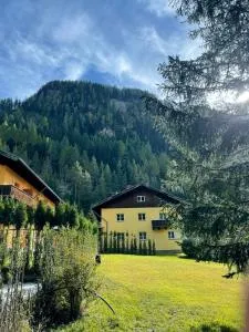 Ferienwohnung Neufundländer - Tschlin 