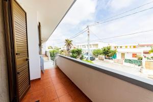 Lily Flat - San Foca