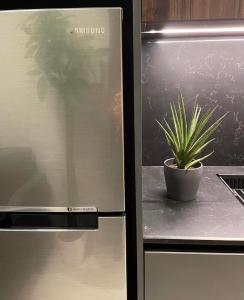 SATELUXXE CAVE SHORE 3