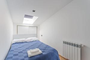 Newly renovated 2BR Apartment in historic Tbilisi