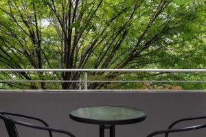 Spacious 1BR APT in Convenient Kingston Location