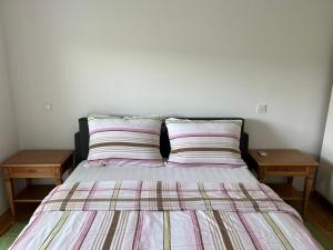 Apartman Jan
