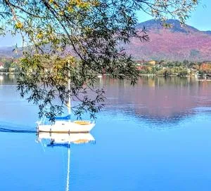 OMagogcondo com A - Austin