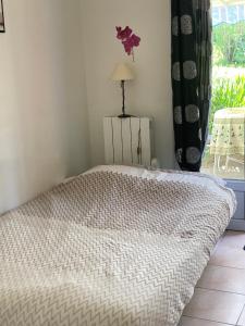 Maisons de vacances Villadelie : photos des chambres
