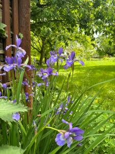 Csodakert Vendégház