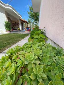 Kristel Holiday Home