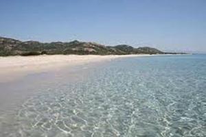 MONOLOCALE WENGE' img14