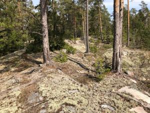 Stuga Pƶrsvik