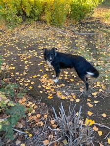 Casa en entorno natural