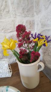 Trullo Pettirosso Ostuni