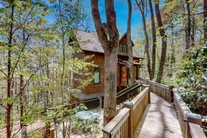 Chic Highlands Cabin - Young Harris