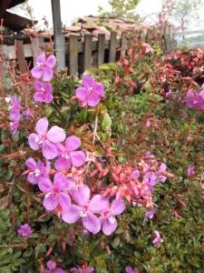 Sol y Luna Glamping - San Andrés