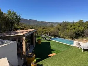 La forêt - 普朗德拉图尔