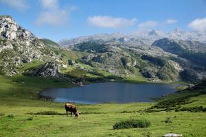 Maisons de vacances Les Hotes Pyrenees : photos des chambres