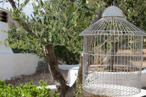 Lazaros&Pagona Houses Garden