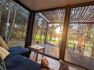 Przeszklony Tiny House w Lesie