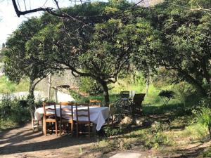 Maisons de vacances Maison de charme dans les collines nicoises : photos des chambres