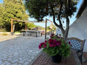 Il Nido dei Venti img27