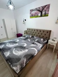 White Studio - 坎普朗莫道尼斯