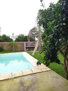 Cabaña Los Colibríes - Puerto Yeruá