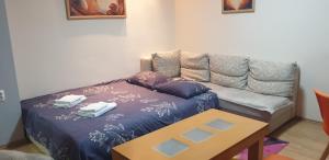 TOP Center Apartment