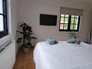 Villa Tibur - Near Boom & Rumst