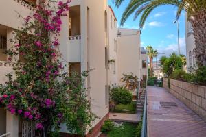 Tenerife Lizards - apartment in the first line