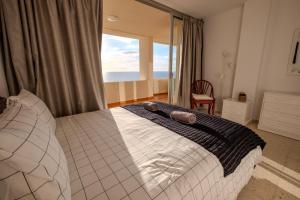 Tenerife Lizards - apartment in the first line