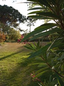 Quinta do Lago Villa and Golf