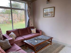Orchard At Sarai - Private cottage, Large lawn, & Pet friendly