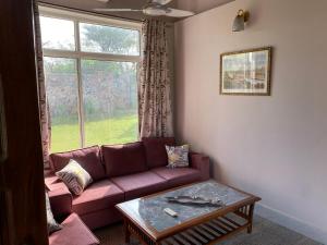 Orchard At Sarai - Private cottage, Large lawn, & Pet friendly