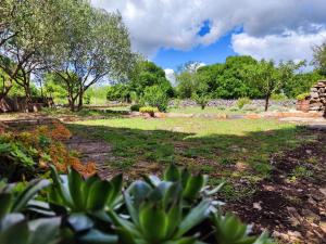 The Old Stone House Dida Jure