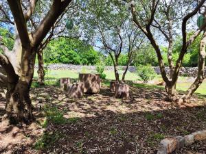 The Old Stone House Dida Jure