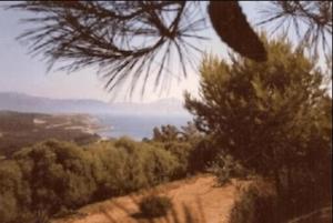 Maisons de vacances Villa vieux rose avec acces piscine : photos des chambres