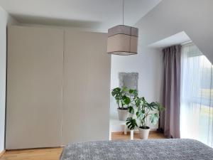 Airport Viena Unterkunft