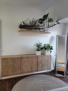 Airport Viena Unterkunft