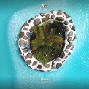 COCONUT TARAPOTO - ECO RESORT