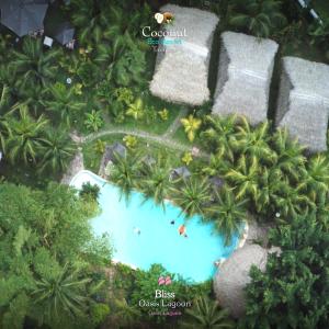 COCONUT TARAPOTO - ECO RESORT