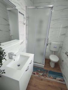 Apartments with parking space Kosinozici, Porec - 23146