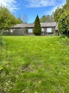 Große Sundpfote - Fehmarnsund