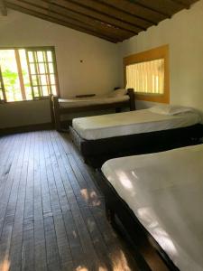 Finca completa bizcocho