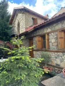 Urban River House - 皮索德里