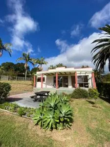 Lil Pink Gin - Taipa