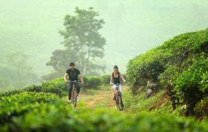 Peters Coffee Creek Wayanad Pool Resort