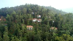 Peters Coffee Creek Wayanad Pool Resort