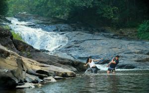 Peters Coffee Creek Wayanad Pool Resort