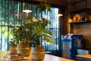 9BR Neverland Loft Pool Villa