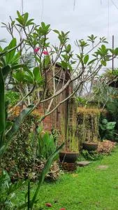 Kebun Puisi - Kampong Sungai Kembong Hilir