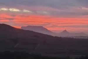 Devon View Olive Farm - Da Nova