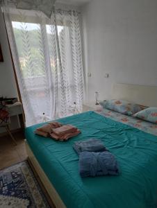 Conchiglia Magica Albiano Magra - Lunigiana